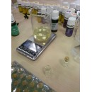 Palmarosa Bucuresti 2015